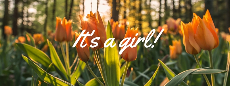 It's a girl - yellow tulips - the bump diaries week 21 Find out all about why colour denoting gender is crazy and how my family found out the gender